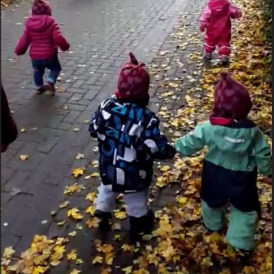 Herbstspaziergang Herbstspaziergang
